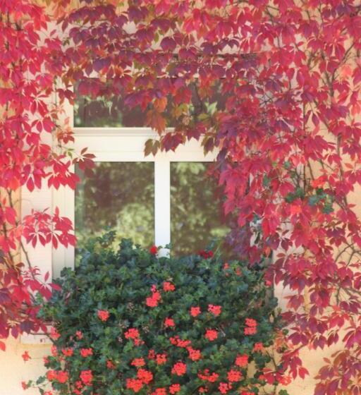 ホテル Landhaus Heidehof