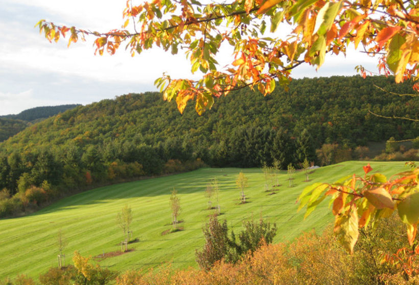 Отель Maasberg Therme
