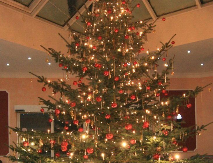 Отель Maasberg Therme