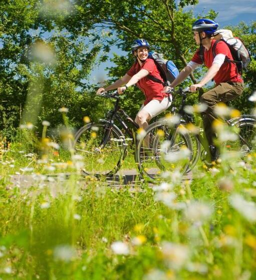 בית מלון כפרי Reiler Hof