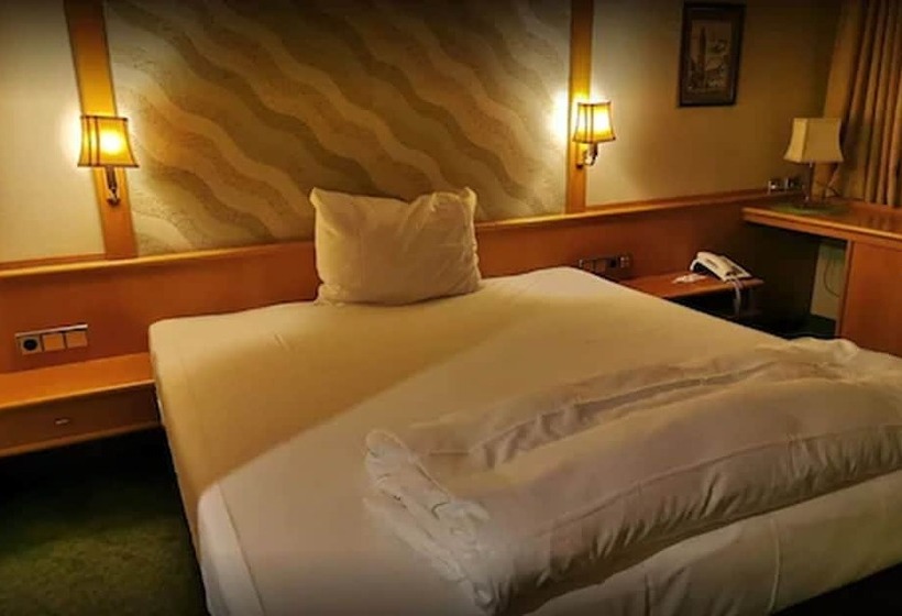 酒店 Ritter Sakira