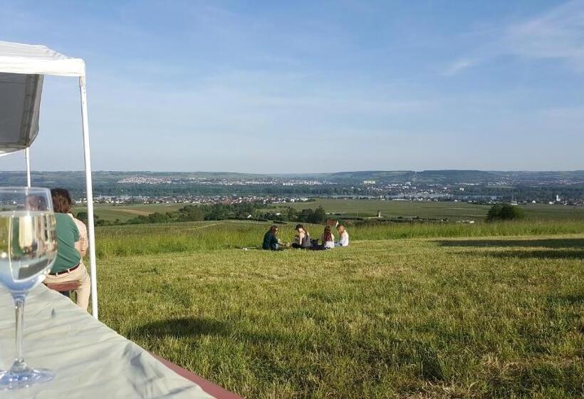 Отель Ruthmann Rheinblick Garni