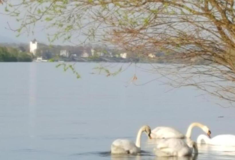 Отель Ruthmann Rheinblick Garni