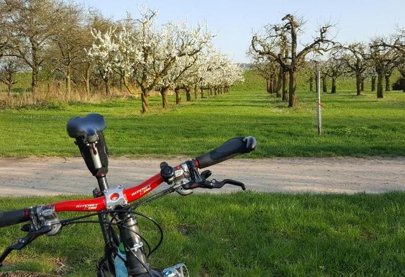 Отель Ruthmann Rheinblick Garni