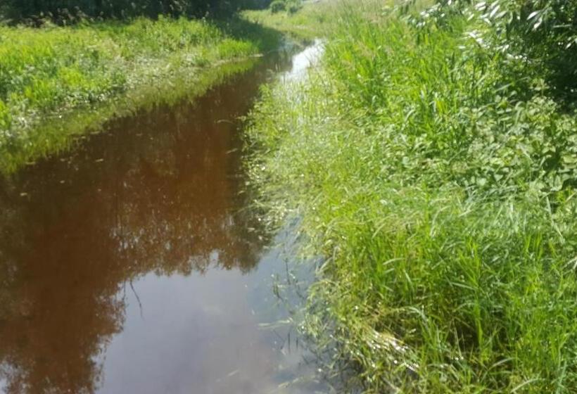 Отель Ruthmann Rheinblick Garni