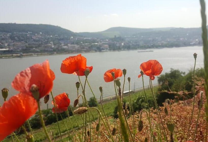 Отель Ruthmann Rheinblick Garni