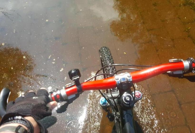 Отель Ruthmann Rheinblick Garni