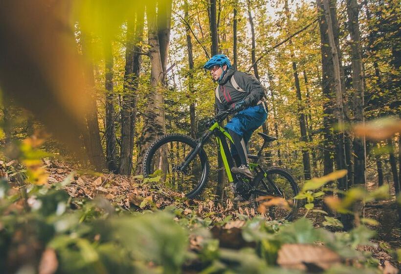 Seehotel Am Tankumsee