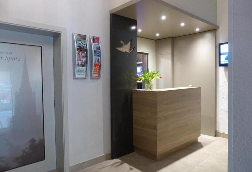 酒店 Ulmer Spatz