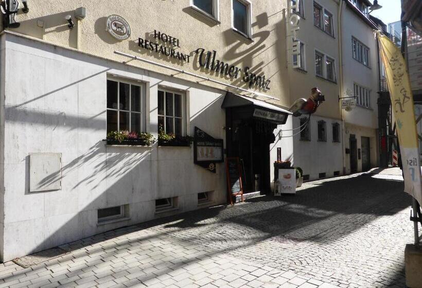 酒店 Ulmer Spatz