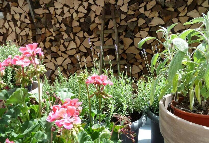 ホテル Zum Alten Brauhaus