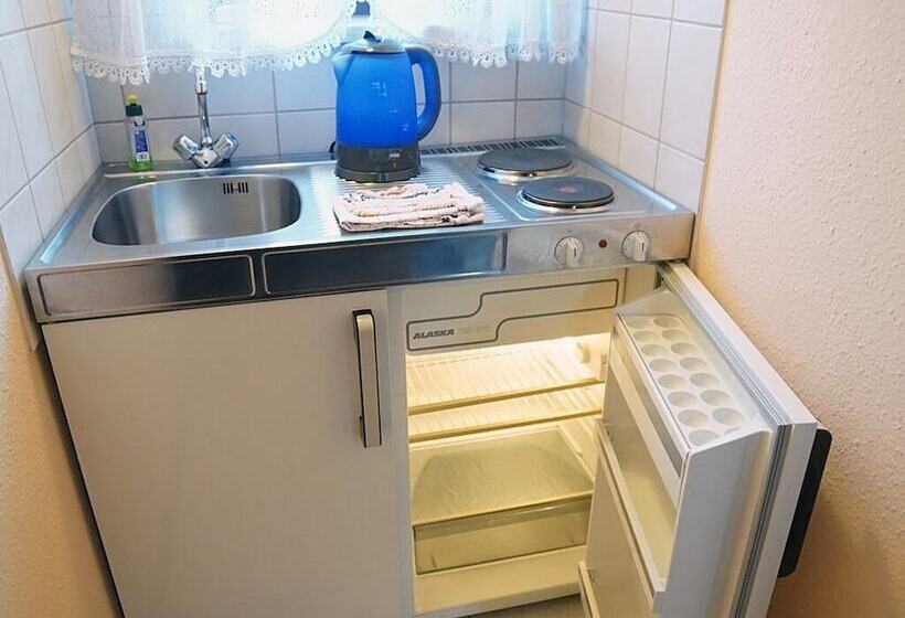 酒店 Restaurant Und Pension Zur Wildgans