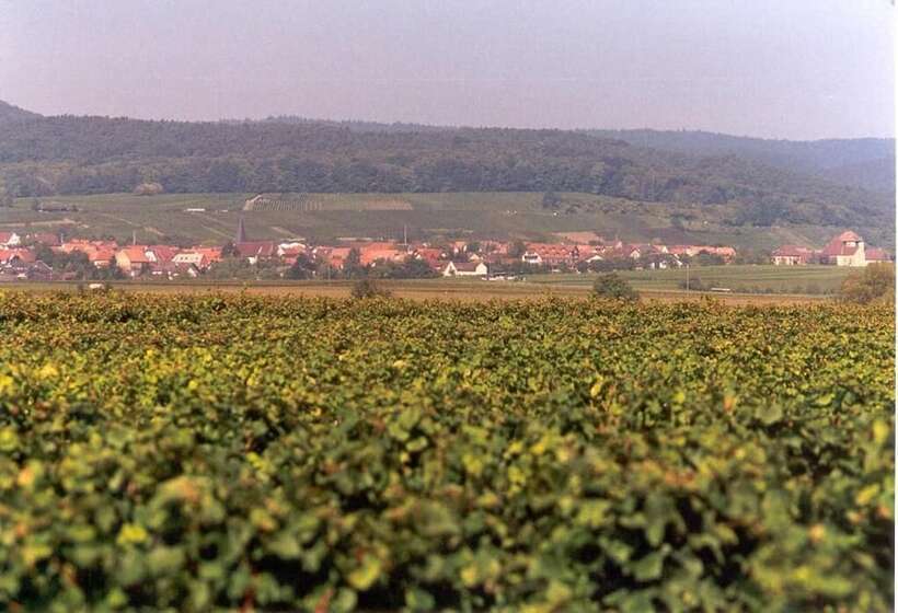 Land Gut Hotel Schweigener Hof