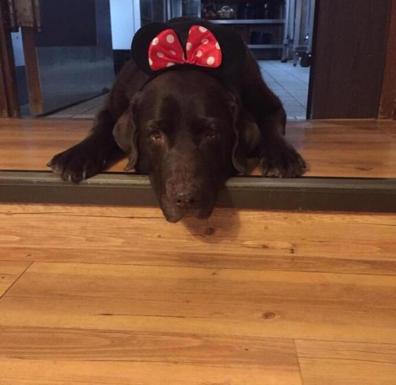 Landhaus Waldziegelhütte