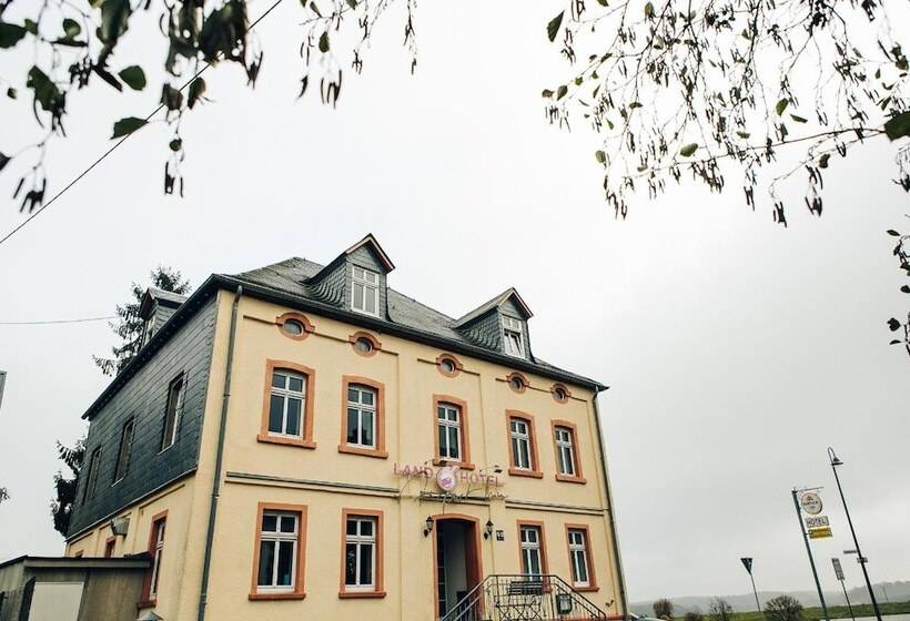 Landhotel Airport Inn