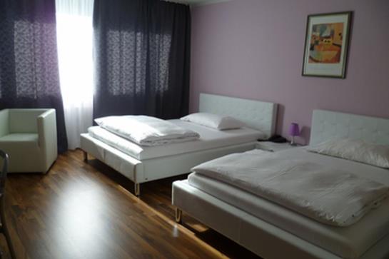 酒店 Park David Lörrach / Basel