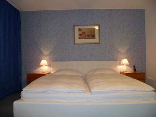 酒店 Park David Lörrach / Basel