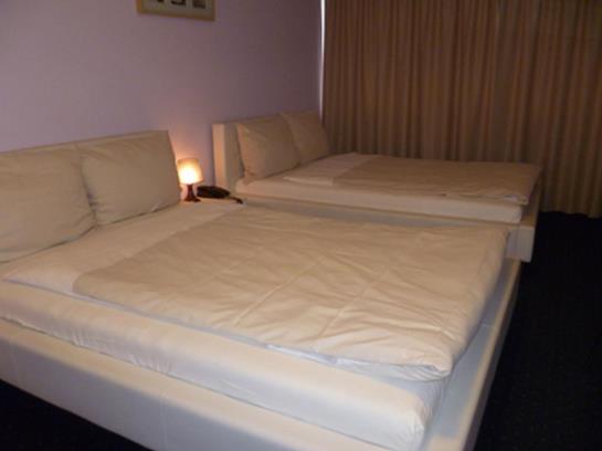 酒店 Park David Lörrach / Basel