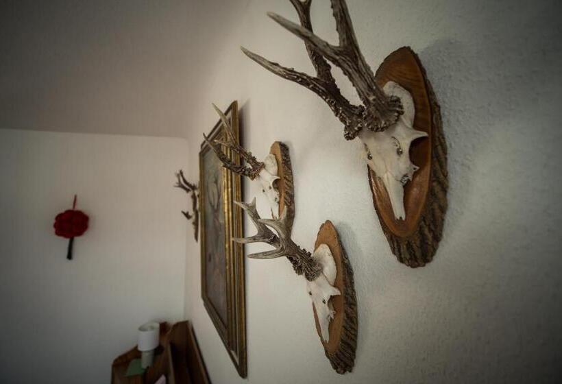 Пансион Gasthof Sonne