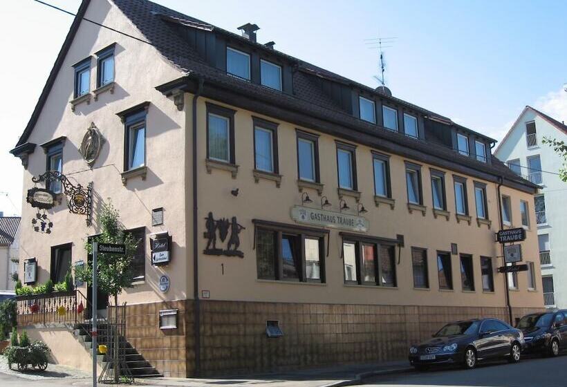 膳宿费 Gasthof Traube