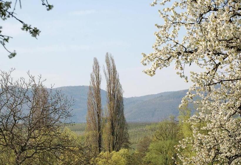 펜션 Gästehaus Kleine Kalmit