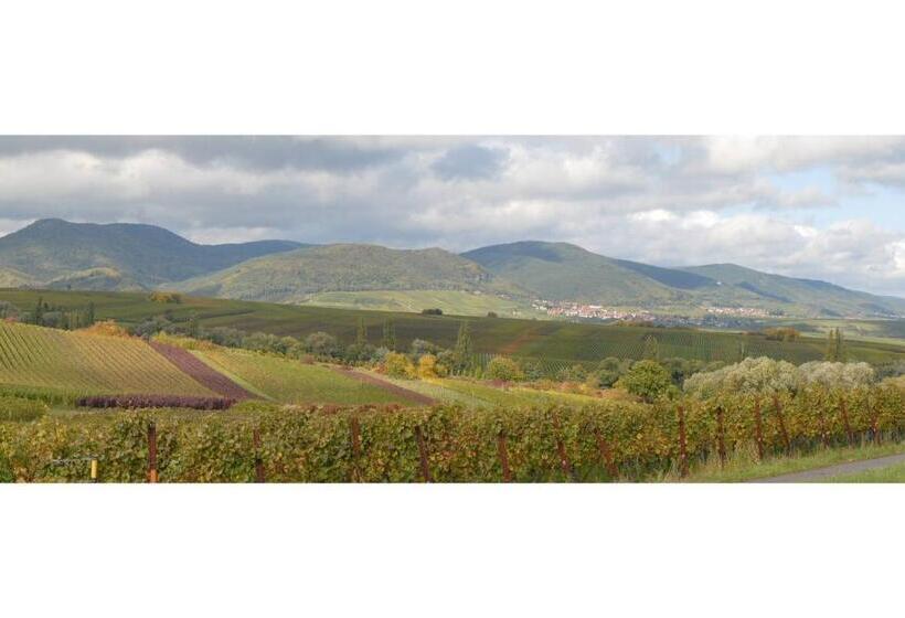 펜션 Gästehaus Kleine Kalmit