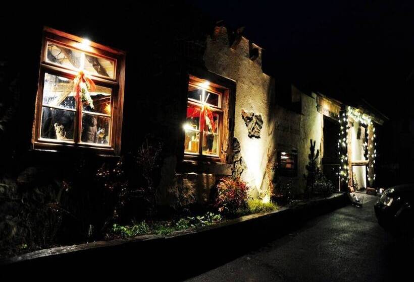 Pensão Landgasthaus Grüner Baum