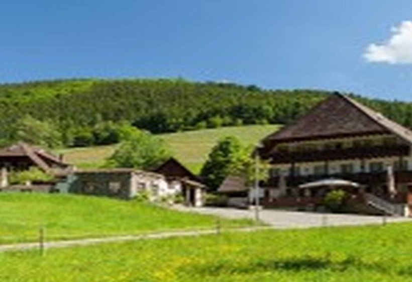 Pensão Landgasthaus Grüner Baum