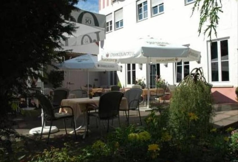 פנסיון Landgasthof Hirsch