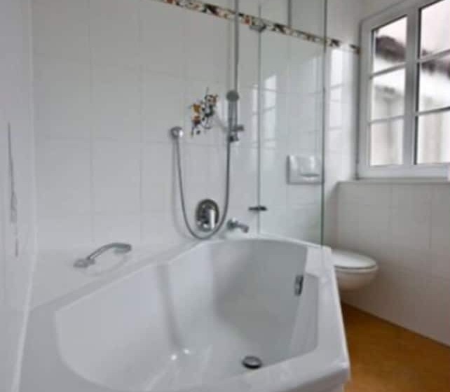 פנסיון Landgasthof Hirsch