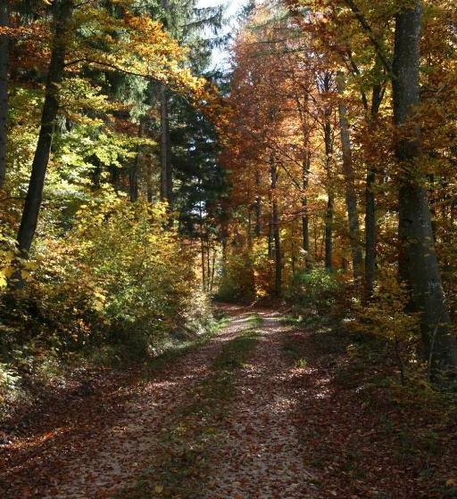 פנסיון Sontheimer Wirtshäusle