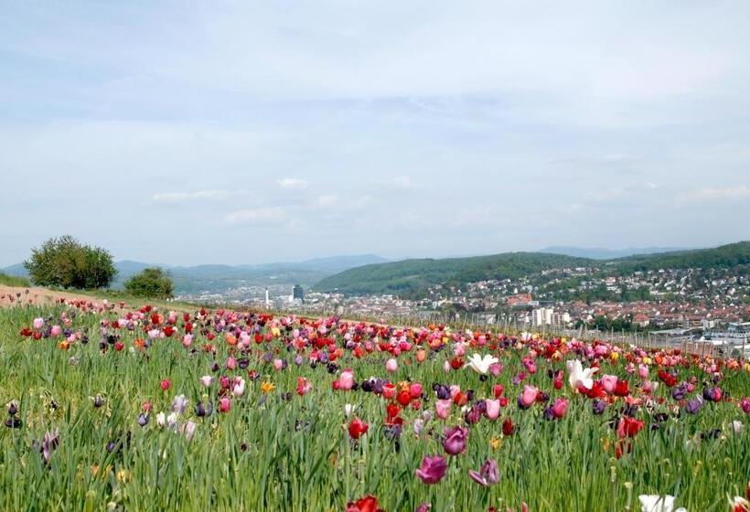 Пансион Restaurant Hotel Maien