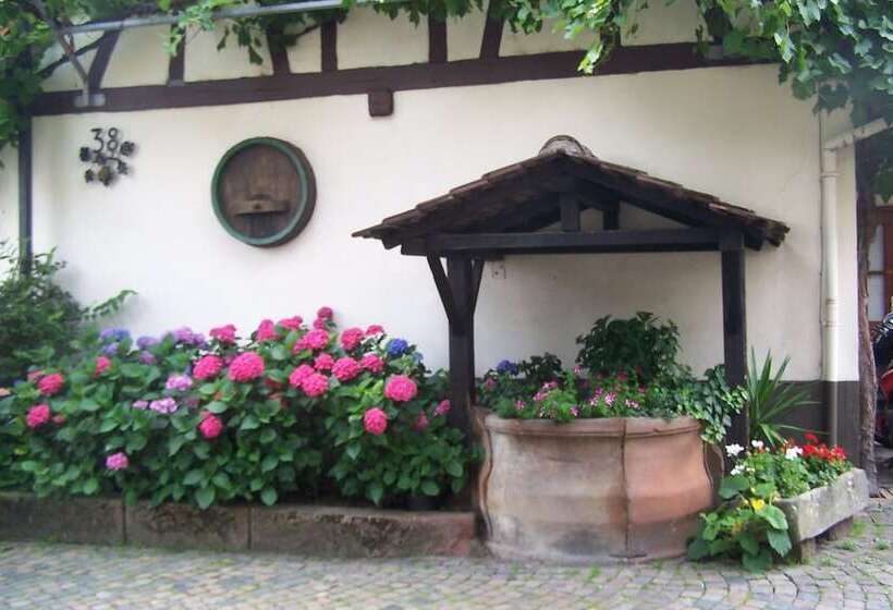 פנסיון Restaurant Zum Engel