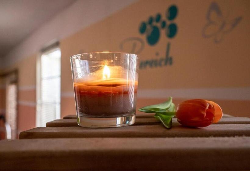 Sporthotel Glück Auf Mönchenfrei