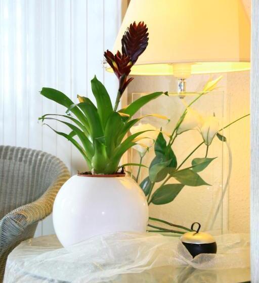 Stadt Hotel Lörrach Gbr