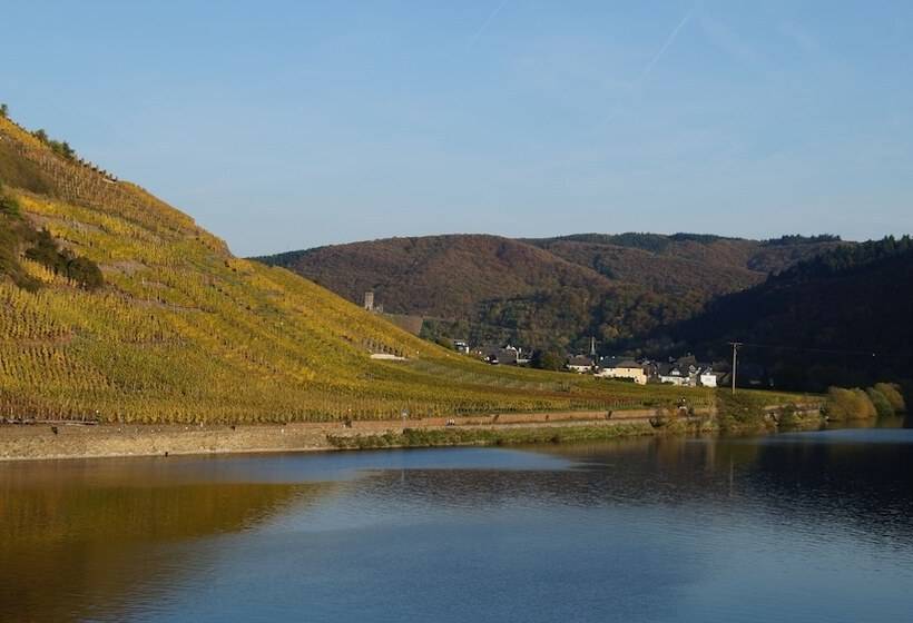 Winzerhotel   Restaurant Zum Moselstrand