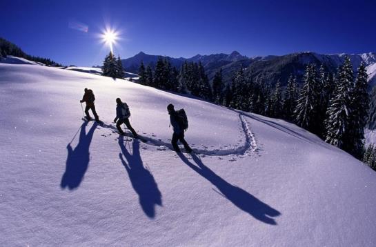 酒店 Gasthof Eberleiten - Jugend - & Aktiv