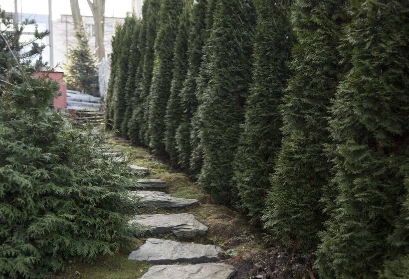 Art Residence Apartments