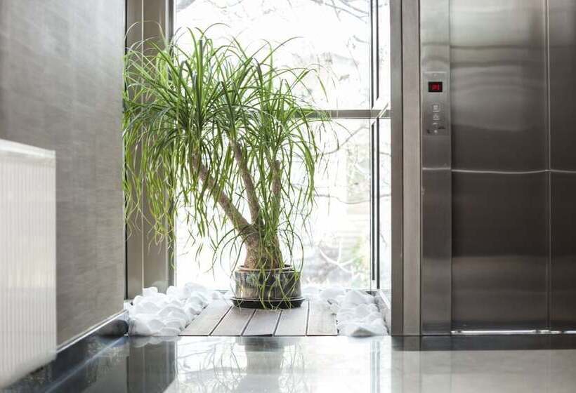 Art Residence Apartments