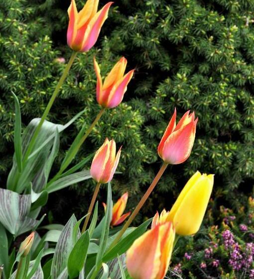 Bankietowa Hotel & Restauracja