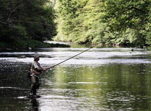 Bed and Breakfast Gasthof Pension Baumkirchner