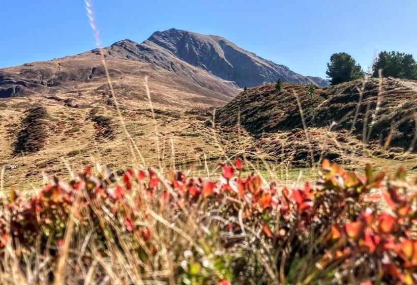مبيت وإفطار Gästehaus Landhaus Tyrol