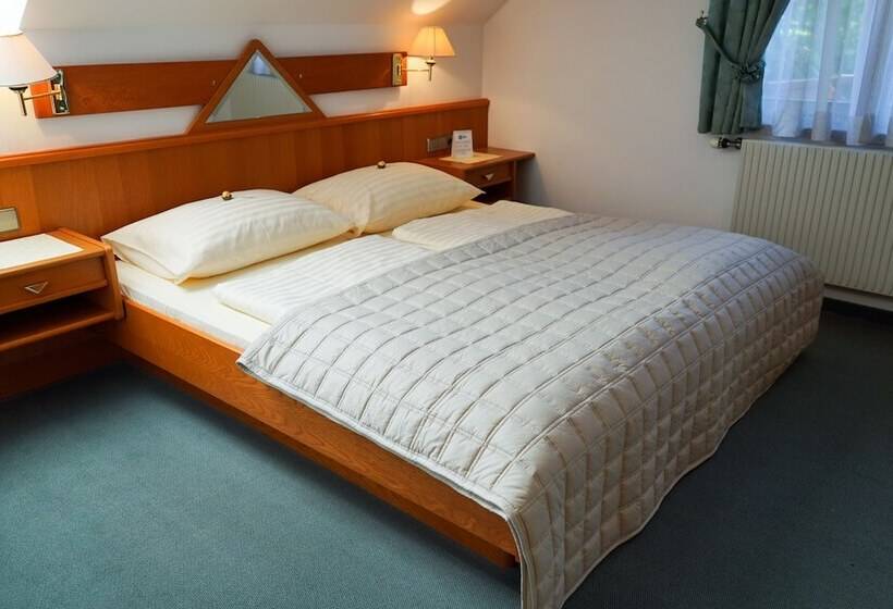 مبيت وإفطار Pension Besser