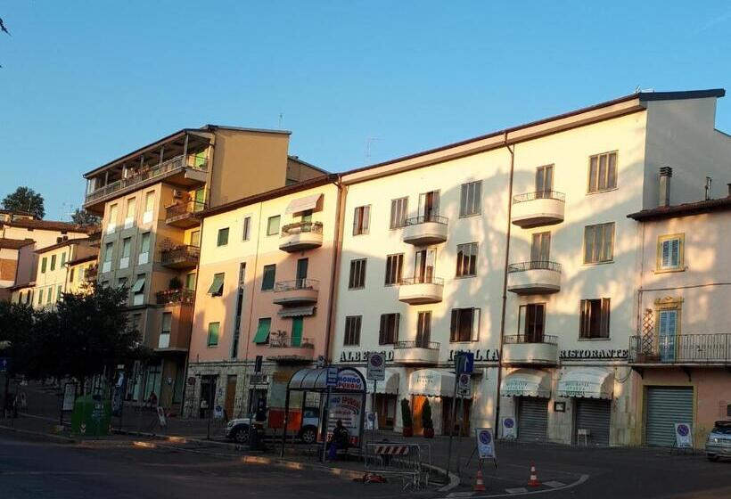 בית מלון כפרי Albergo Italia Di Nardi Renzo & C Snc