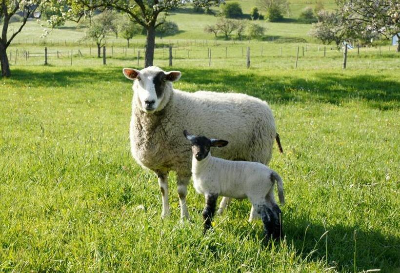 ホテル Almenlandhof