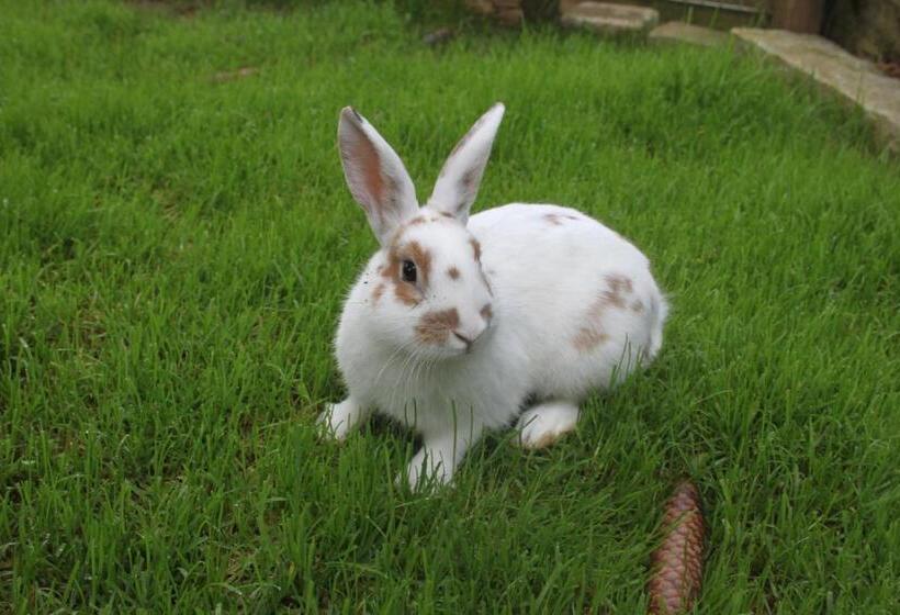 ホテル Almenlandhof