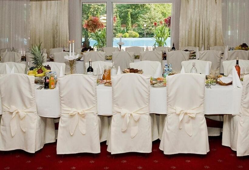 酒店 Ambasador Chojny