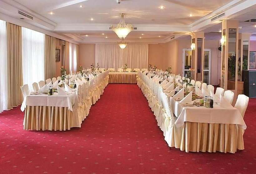 酒店 Ambasador Chojny