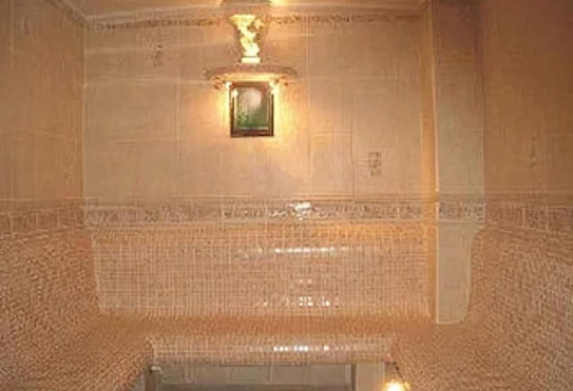 酒店 Ambasador Chojny