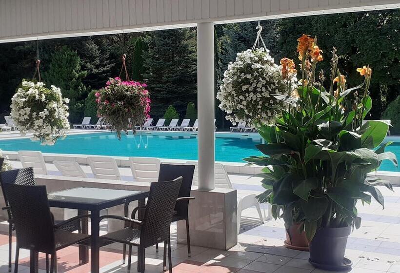 ホテル Ambasador Chojny